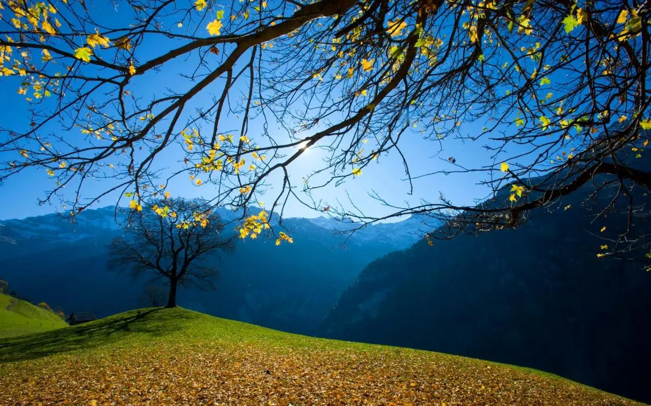 高精度科技智能系统